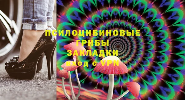 винт Алзамай